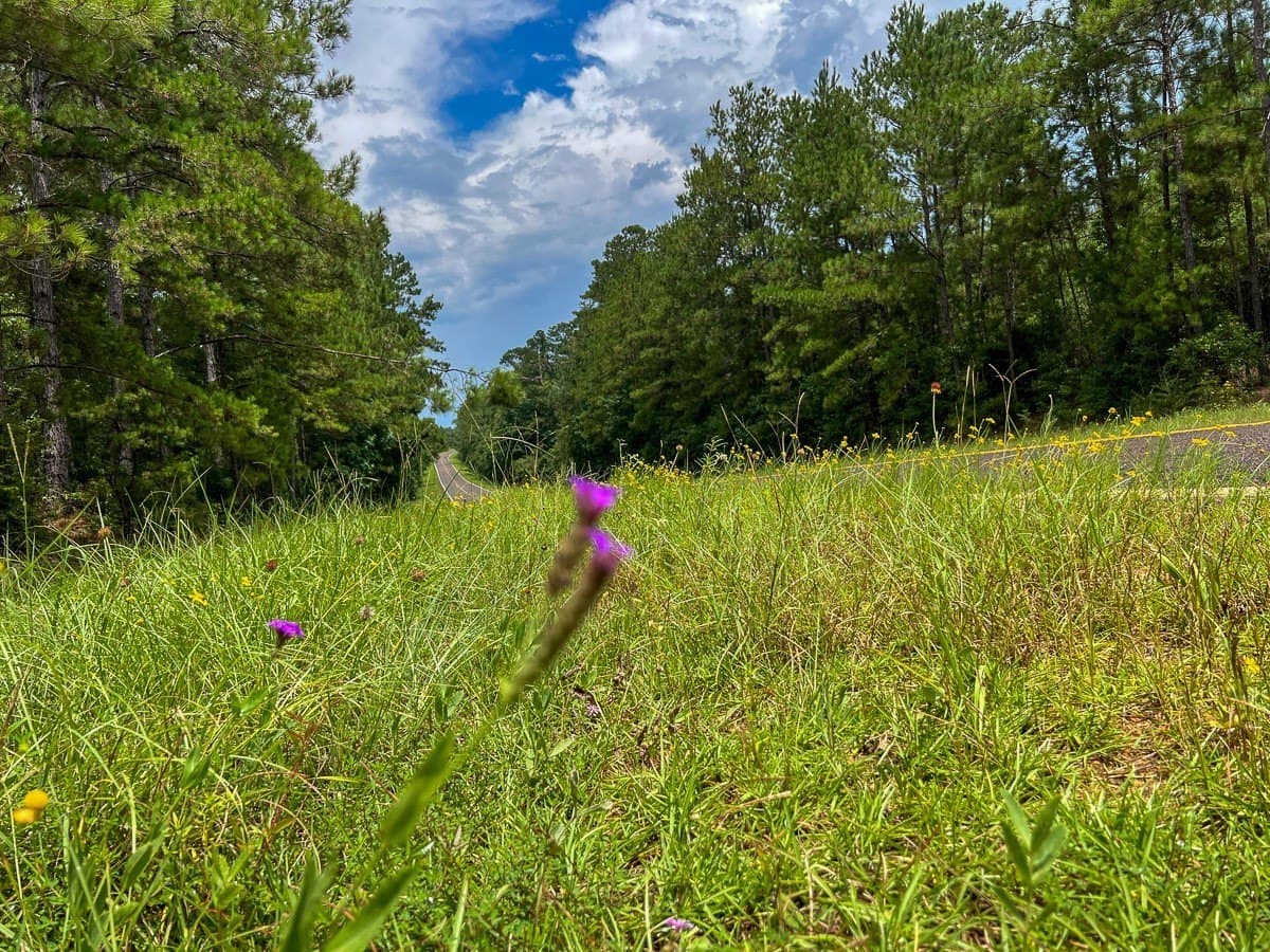 73 acres in Newton County - photo 6