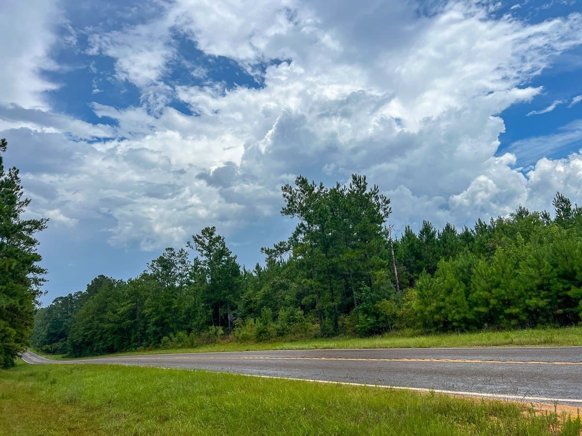 73 acres in Newton County - photo 5