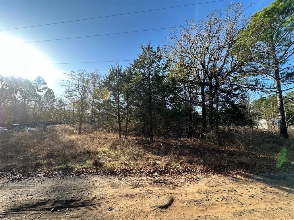 0.08 acres in Smith County featured view