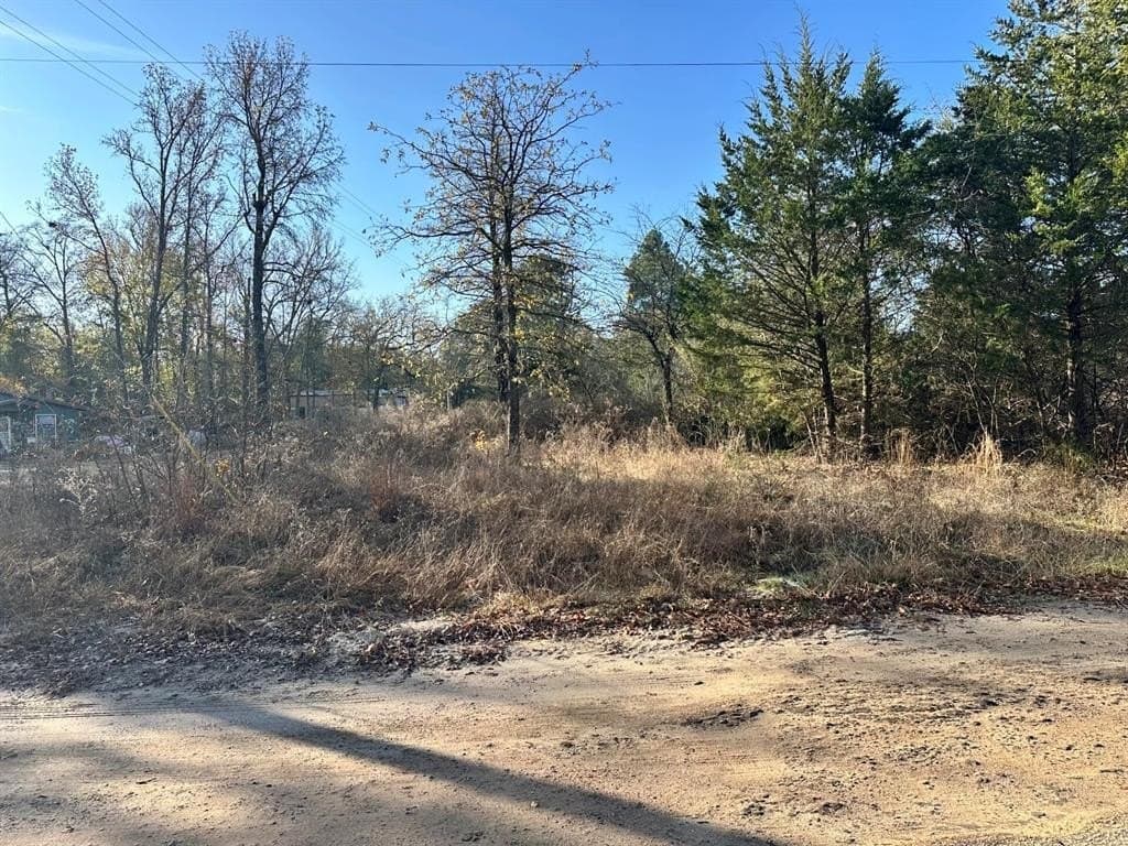 0.08 acres in Smith County gallery image 2