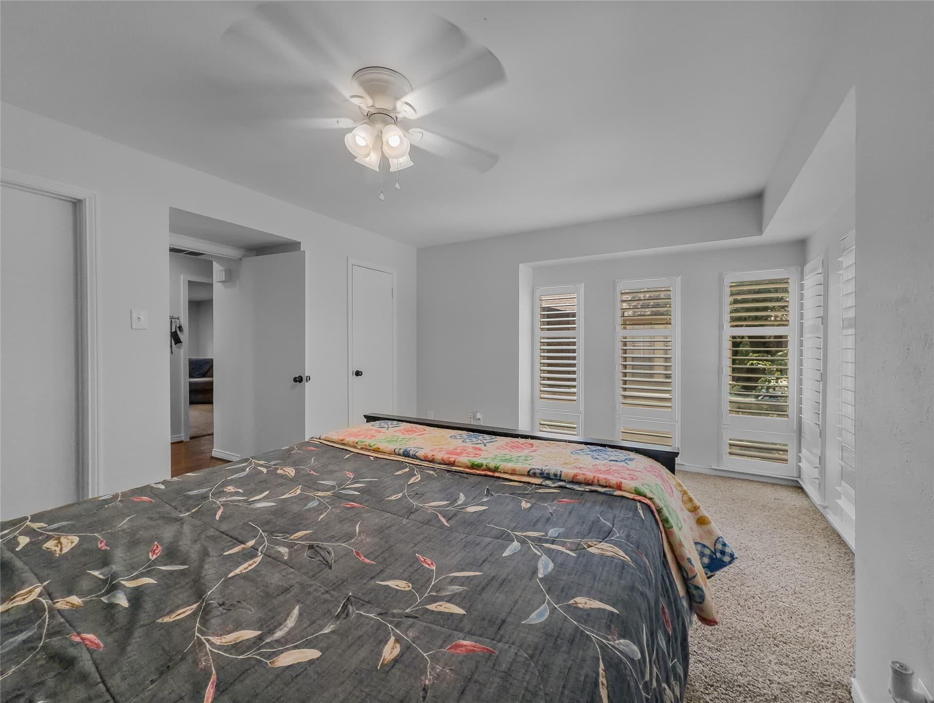 11.05 acres in Dallas County - photo 14