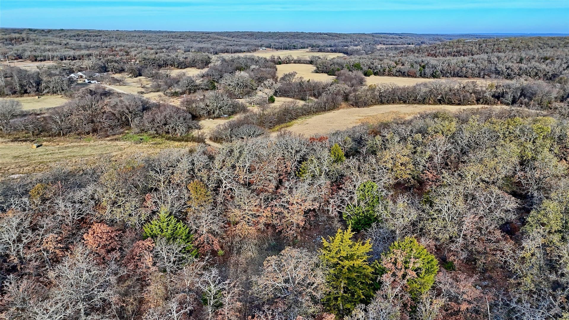 65 acres in Montague County - photo 36