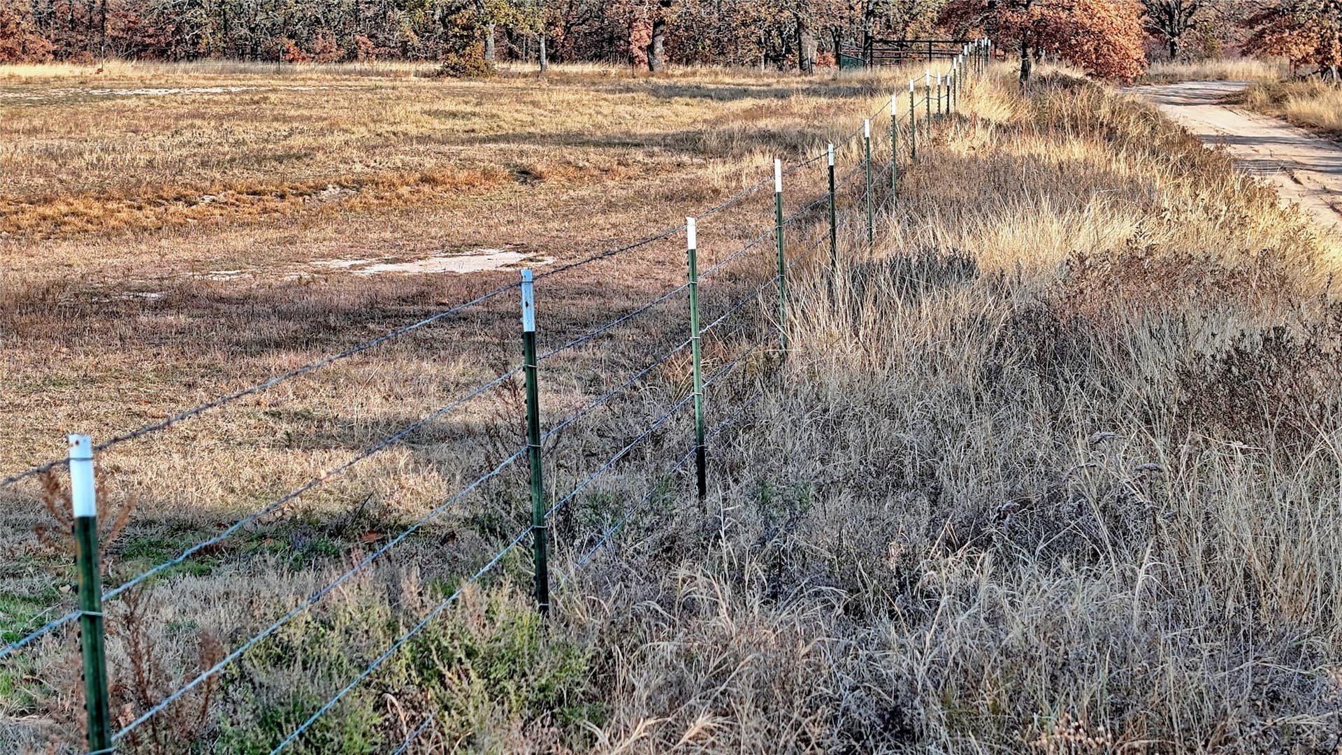 65 acres in Montague County - photo 37