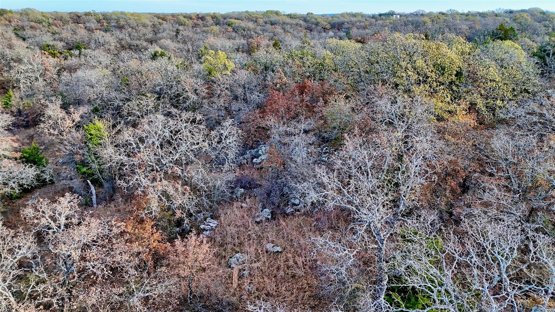 65 acres in Montague County - photo 30
