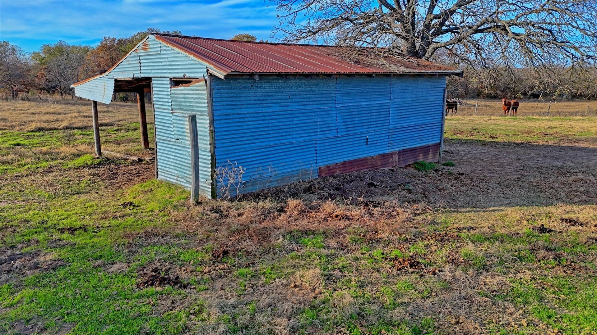 65 acres in Montague County - photo 11