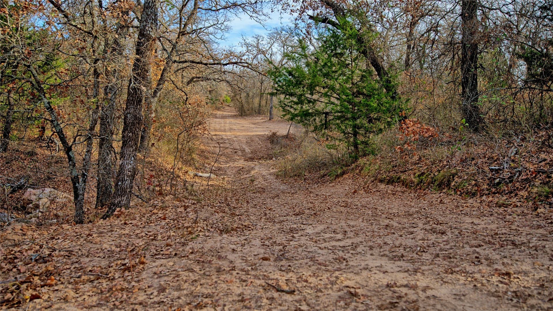 65 acres in Montague County - photo 27