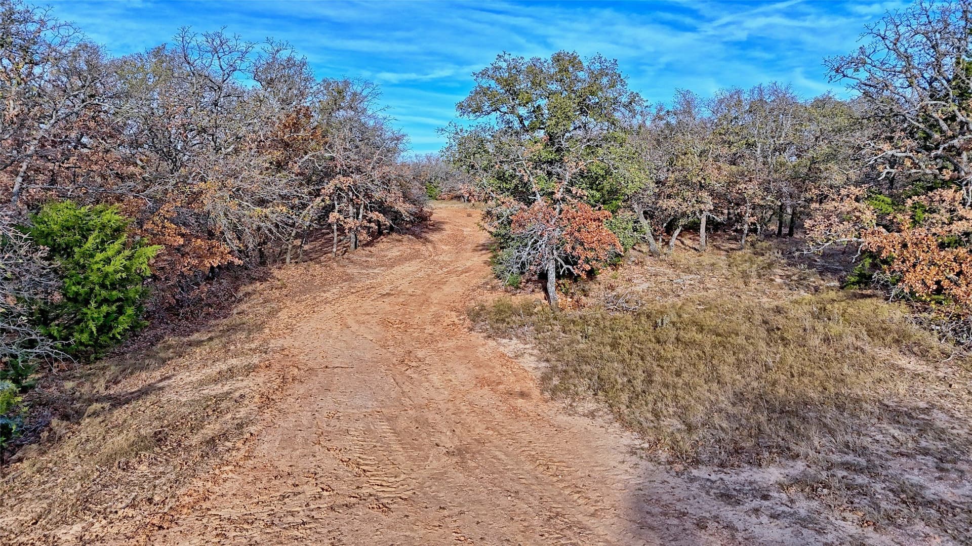 65 acres in Montague County - photo 6