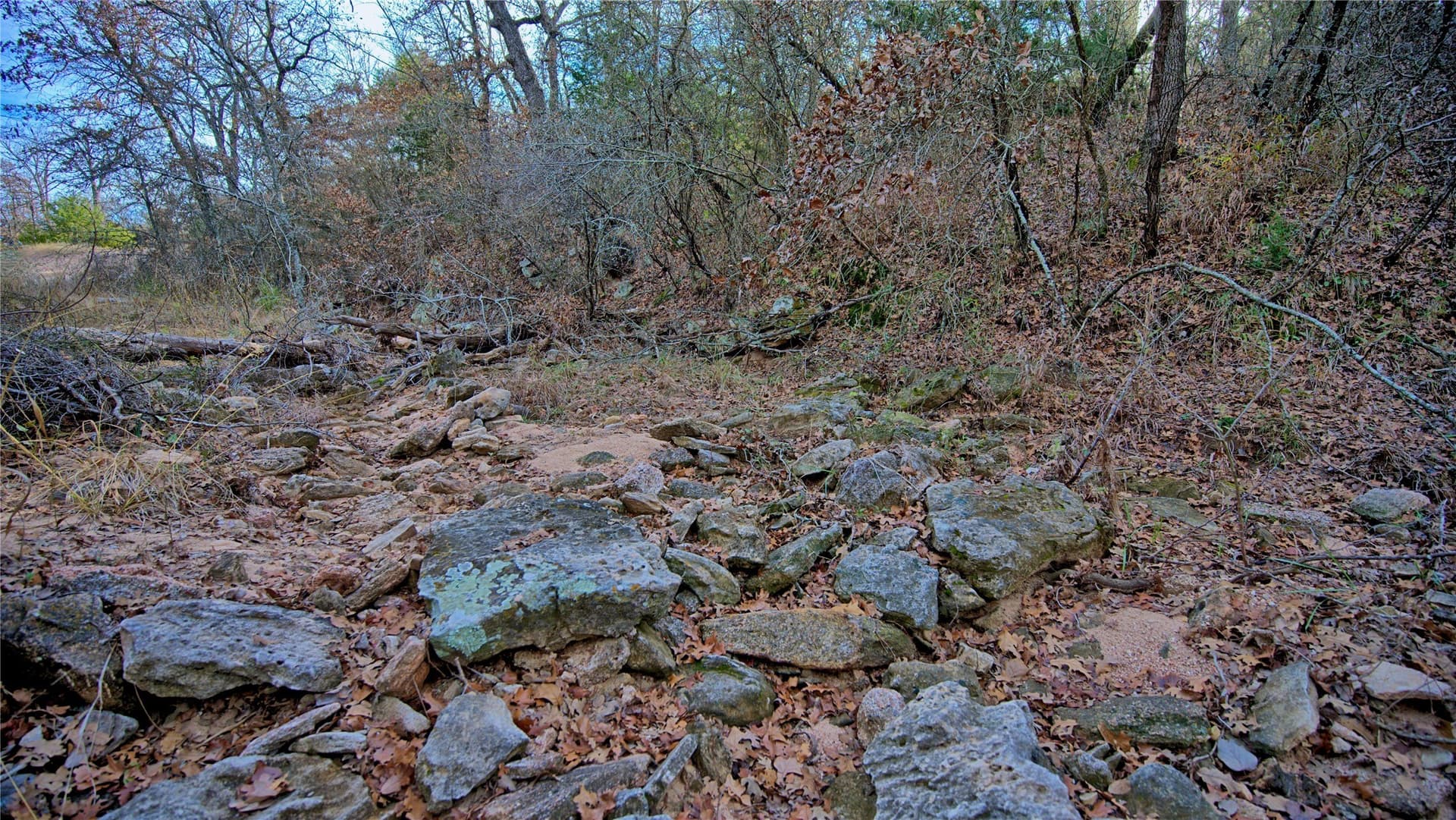 65 acres in Montague County - photo 31