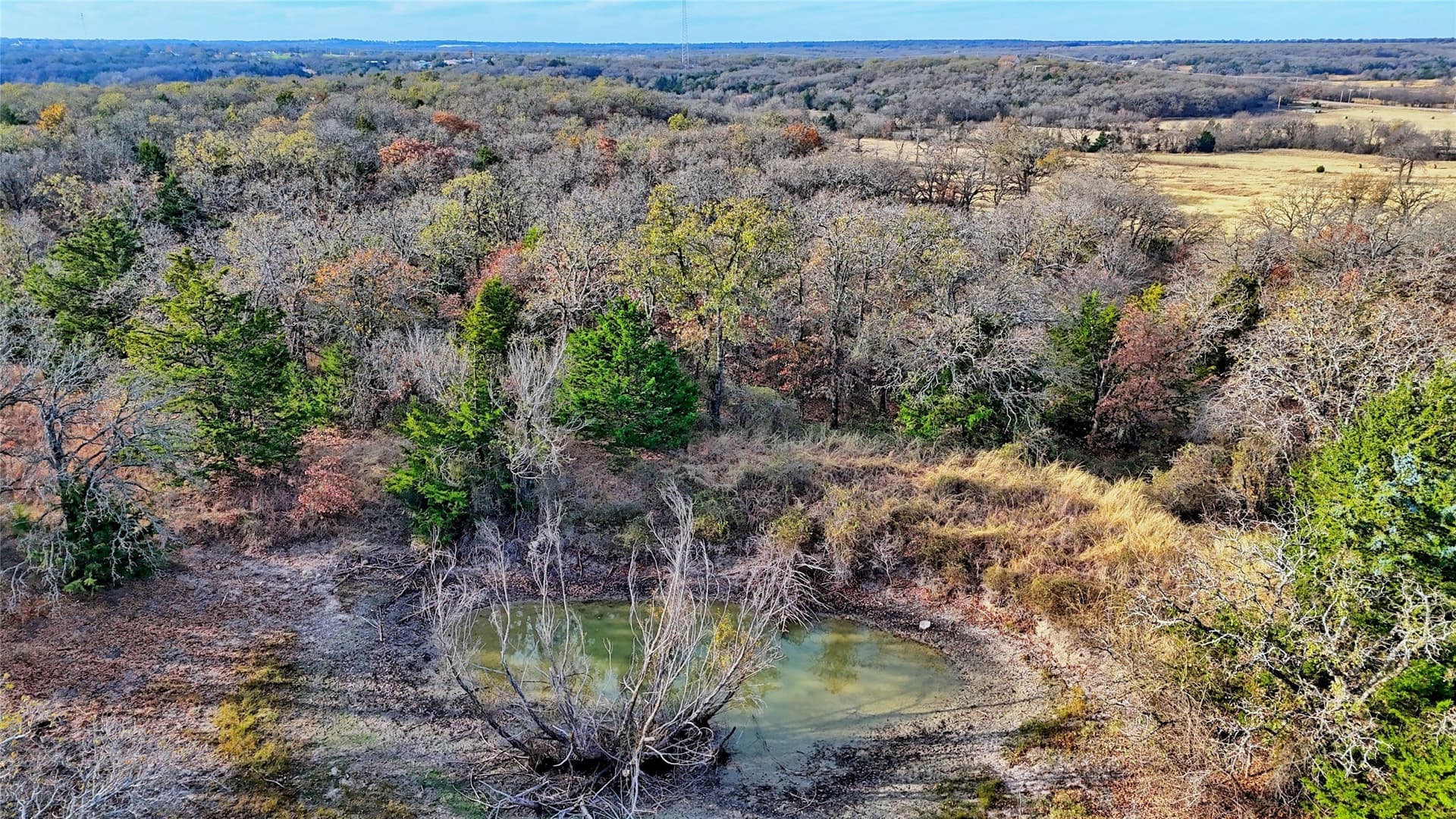 65 acres in Montague County - photo 3