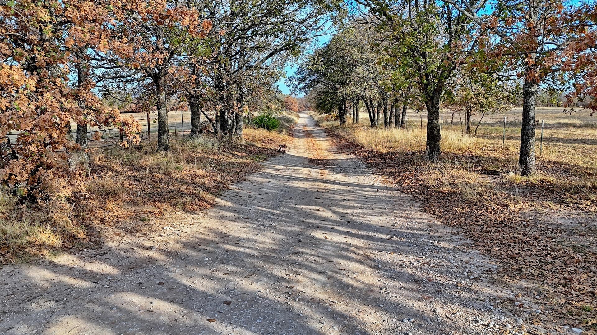 65 acres in Montague County - photo 34