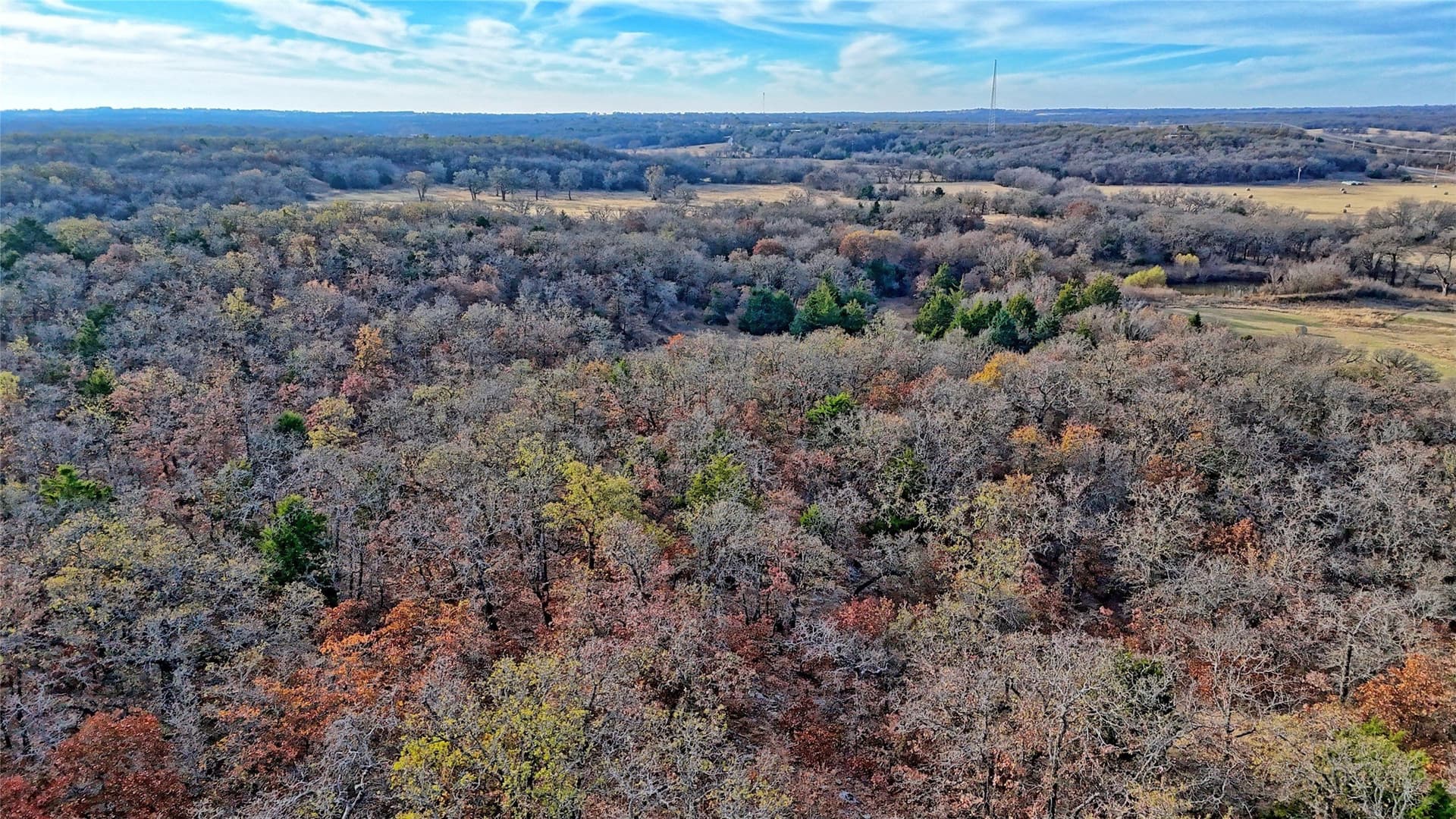 65 acres in Montague County - photo 19
