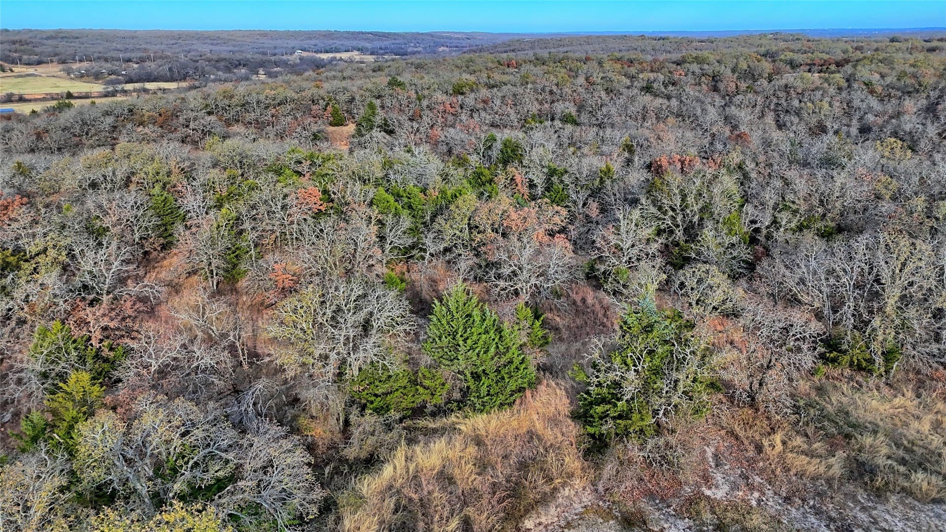 65 acres in Montague County - photo 23