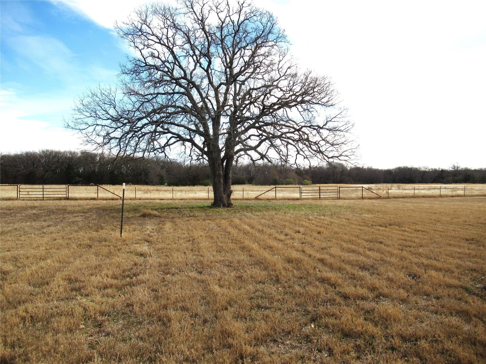 7.29 acres in Hunt County - photo 25