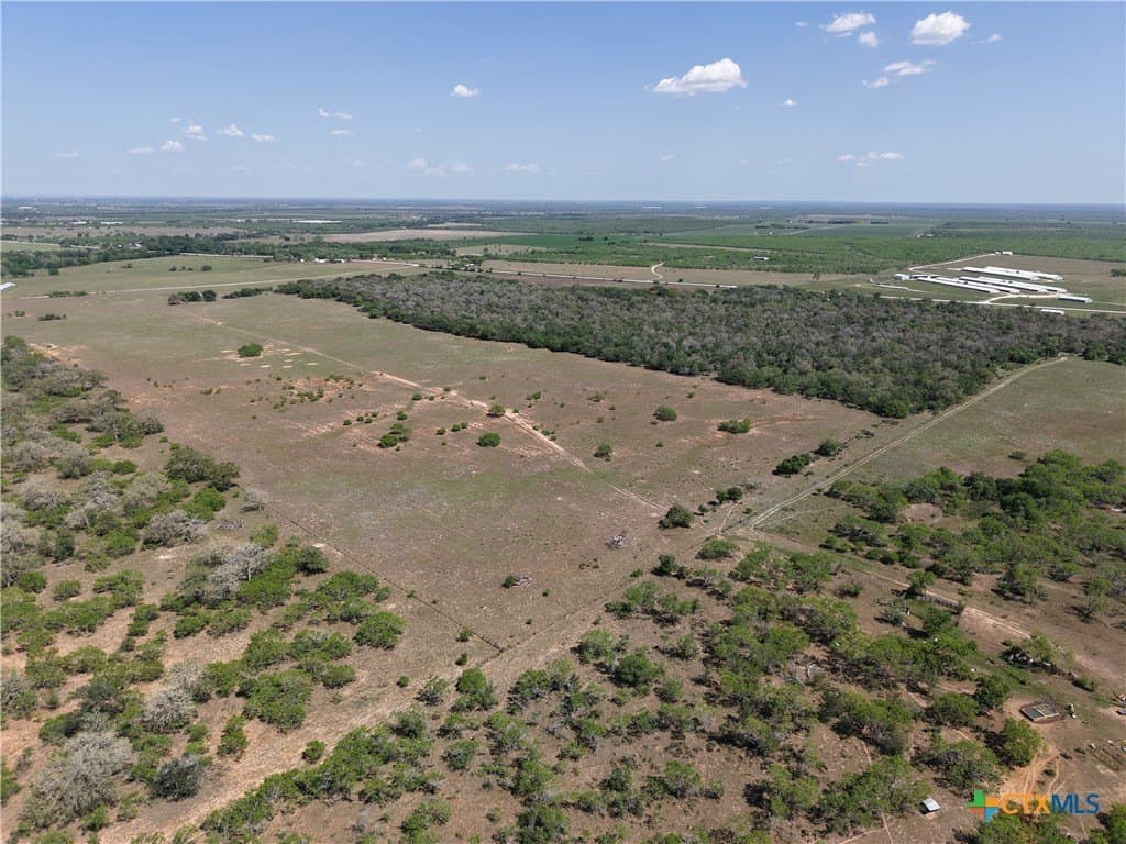 129.65 acres in Gonzales County gallery image 4
