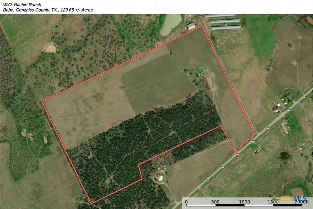 129.65 acres in Gonzales County gallery image 2