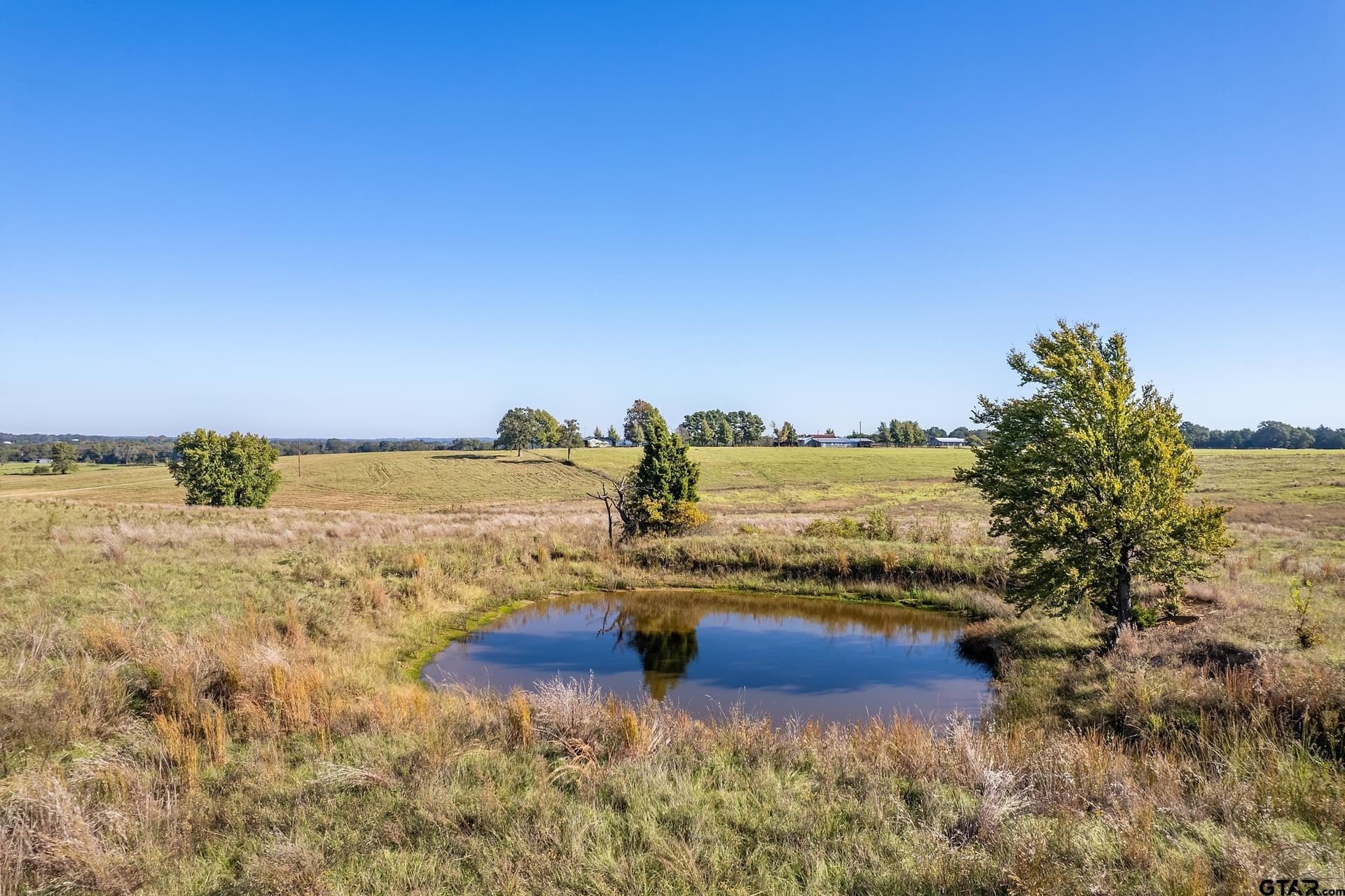 14.64 acres in Henderson County gallery image 3