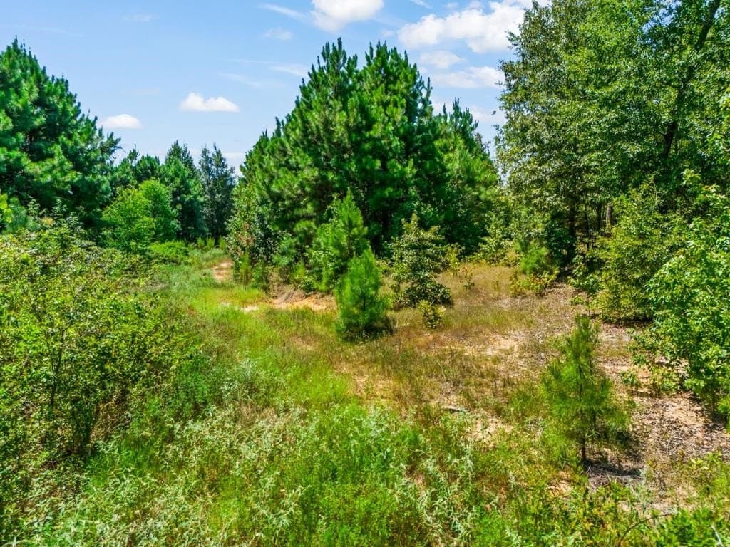 17.57 acres in Upshur County - photo 19