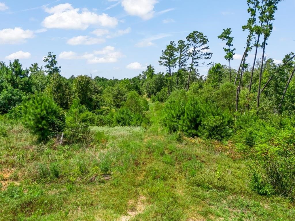 17.57 acres in Upshur County - photo 25