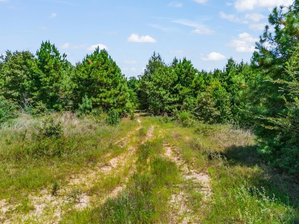 17.57 acres in Upshur County - photo 21