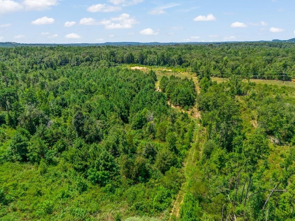17.57 acres in Upshur County - photo 9