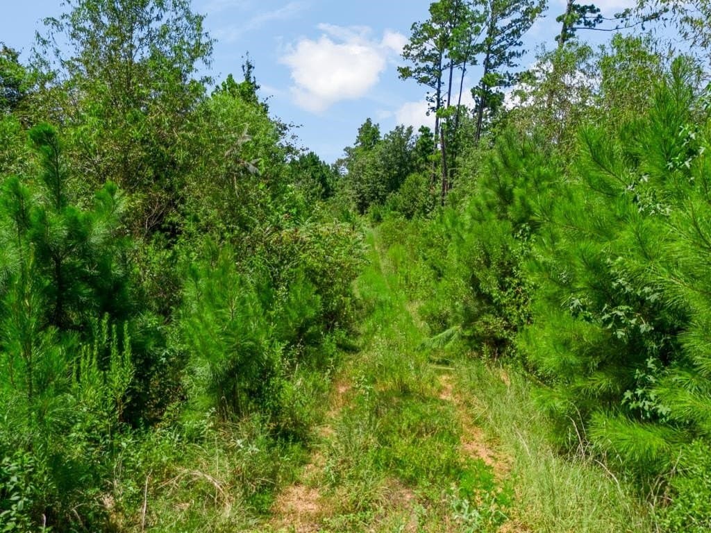 17.57 acres in Upshur County - photo 17