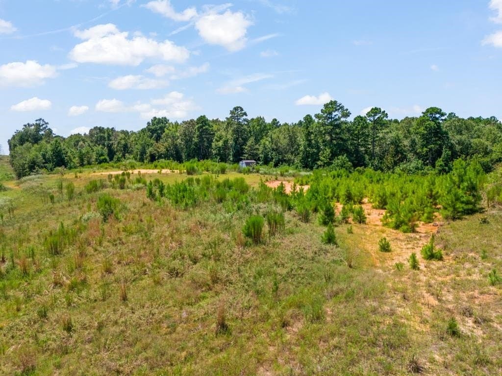 17.57 acres in Upshur County - photo 22