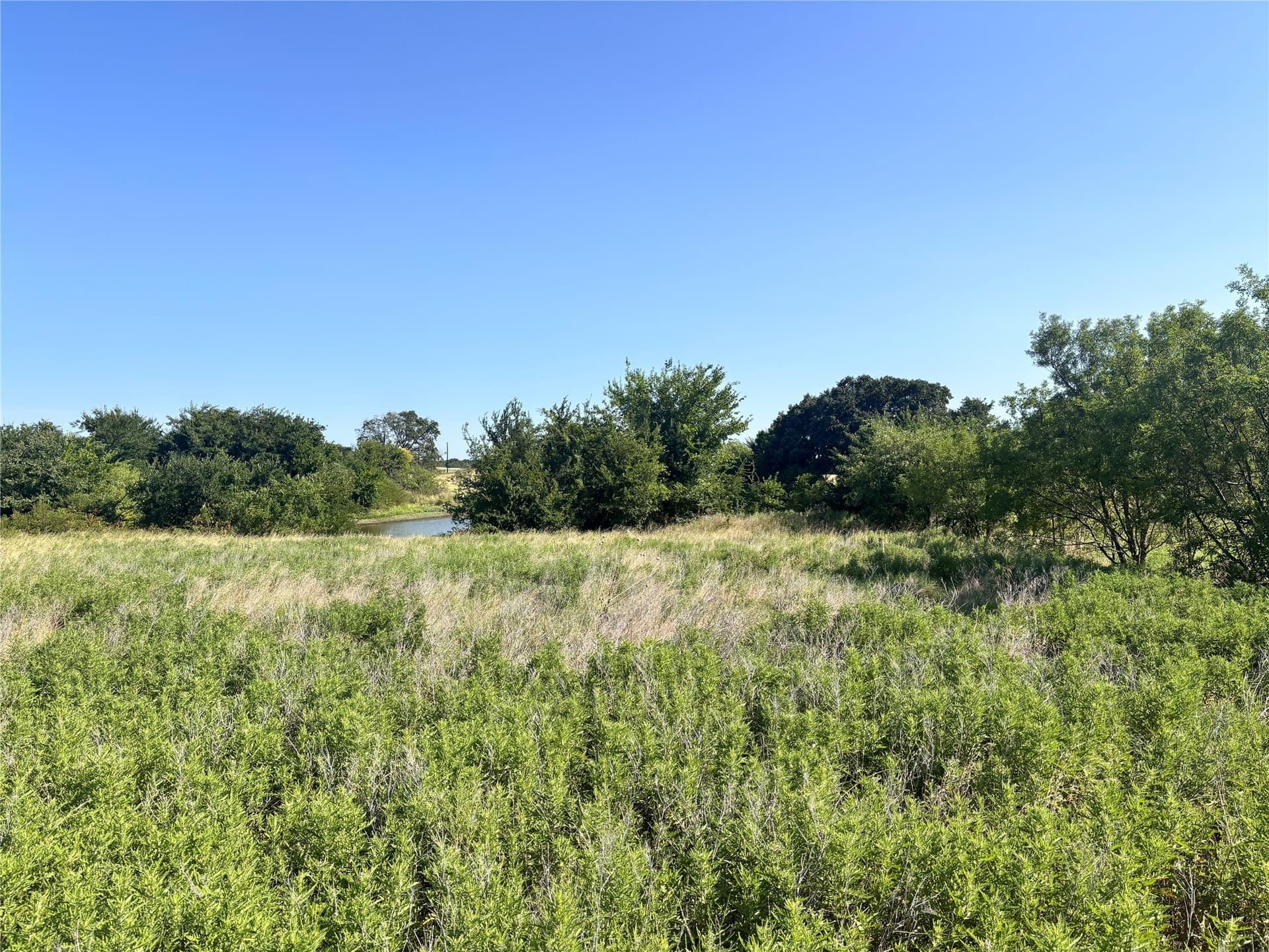 2.55 acres in Wise County - photo 7