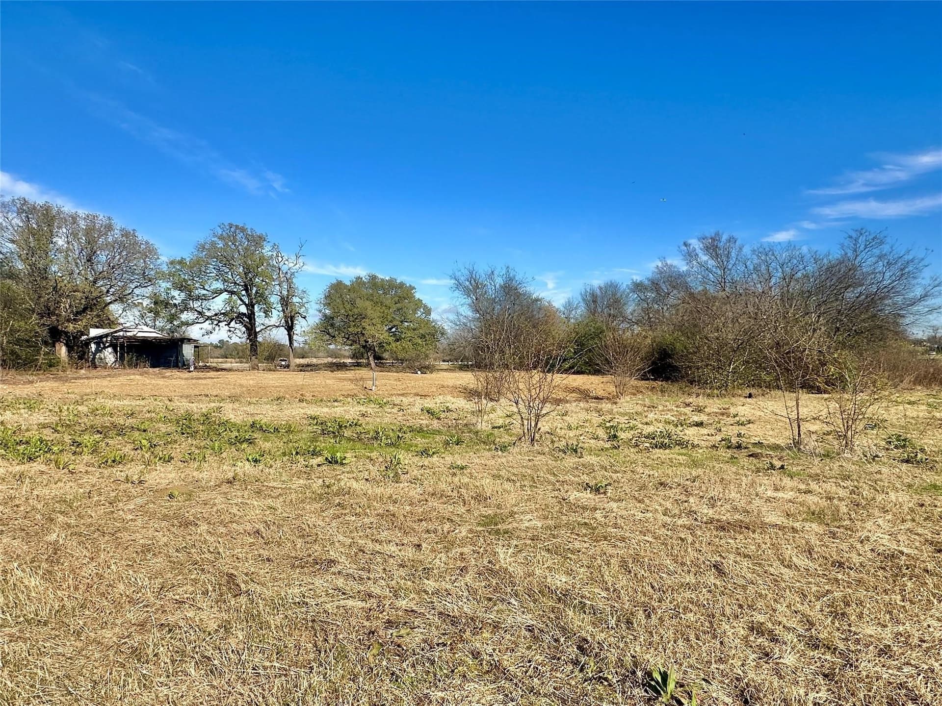 2.67 acres in Hopkins County gallery image 2