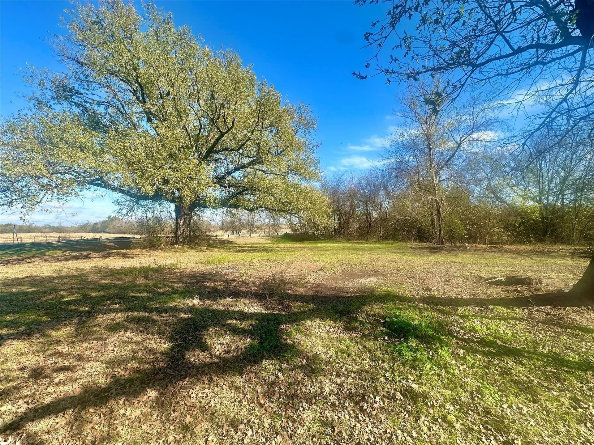 2.67 acres in Hopkins County gallery image 4