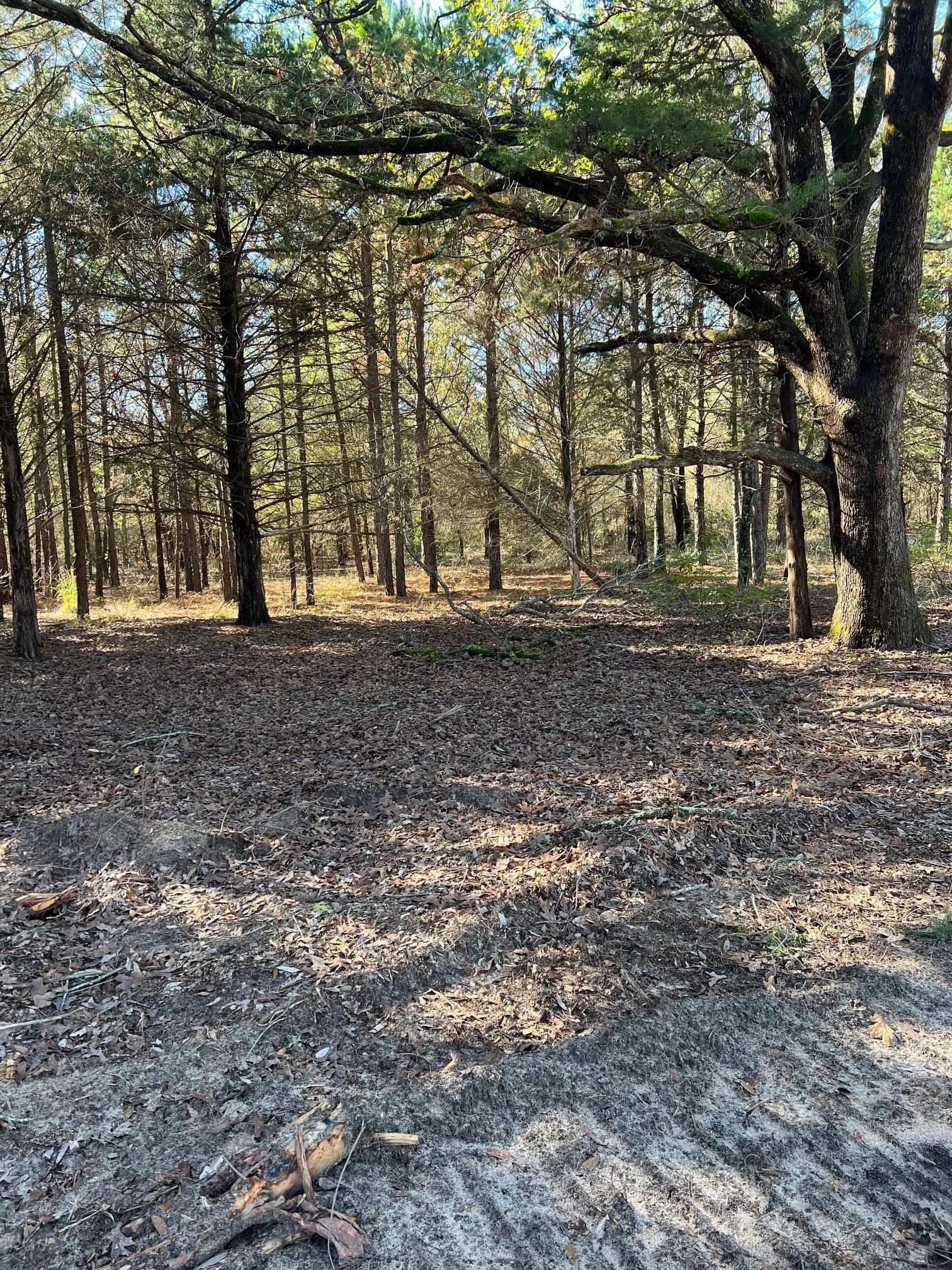 2.74 acres in Smith County - photo 7