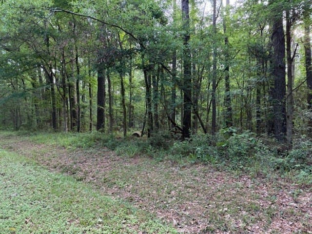 0.26 acres in Texas County gallery image 3