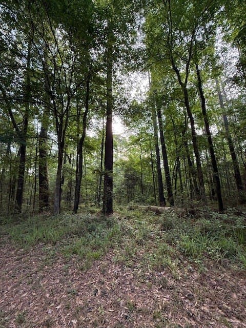 0.26 acres in Texas County gallery image 4