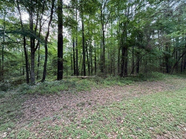 0.26 acres in Texas County gallery image 2