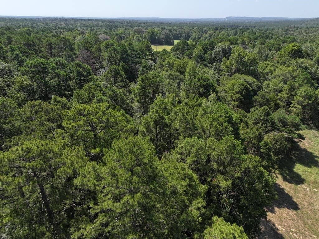 15.19 acres in Upshur County - photo 7