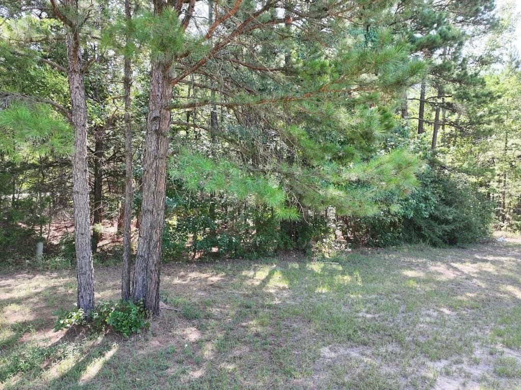 15.19 acres in Upshur County - photo 3