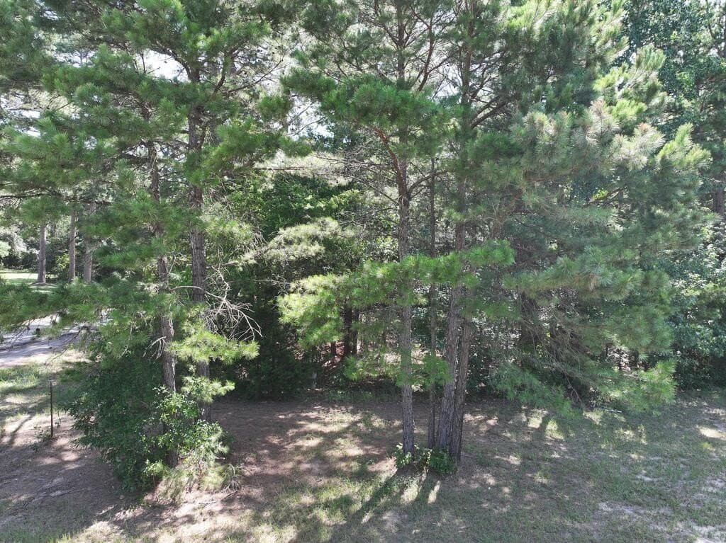 15.19 acres in Upshur County - photo 11