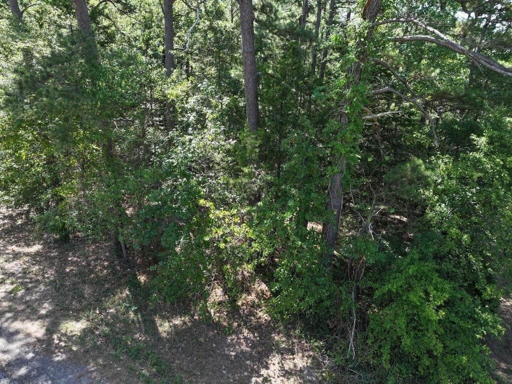 15.19 acres in Upshur County - photo 17