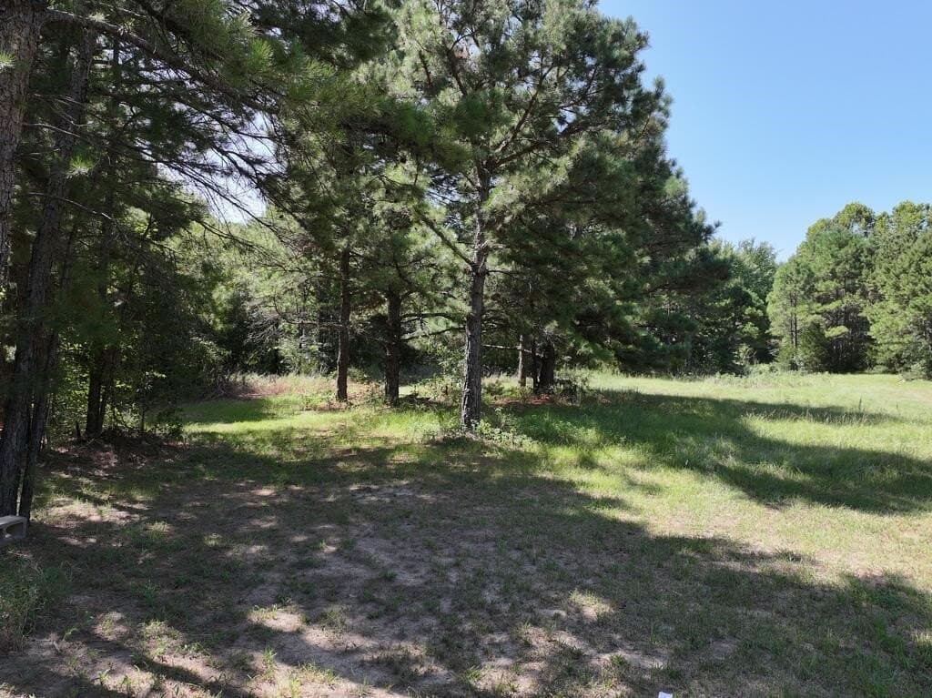 15.19 acres in Upshur County - photo 15