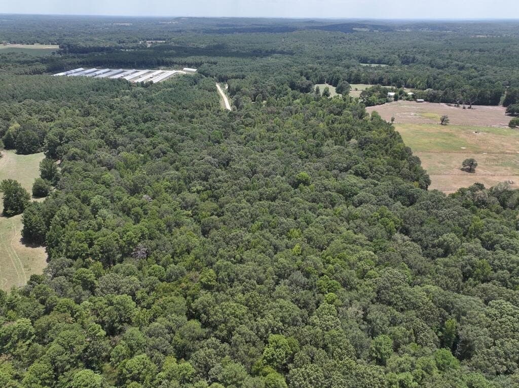 15.19 acres in Upshur County - photo 12