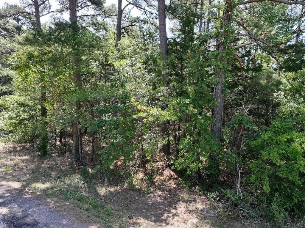 15.19 acres in Upshur County - photo 2