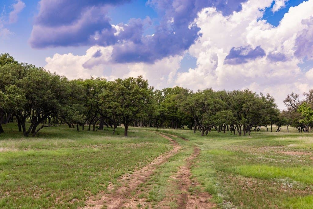 22.14 acres in Kerr County gallery image 3