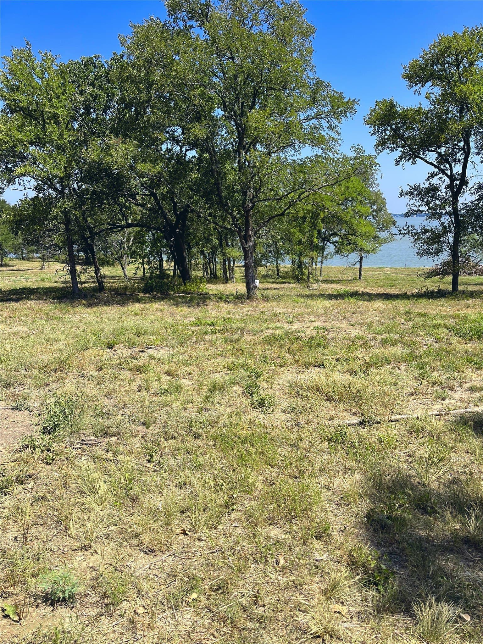 1.13 acres in Navarro County - photo 30