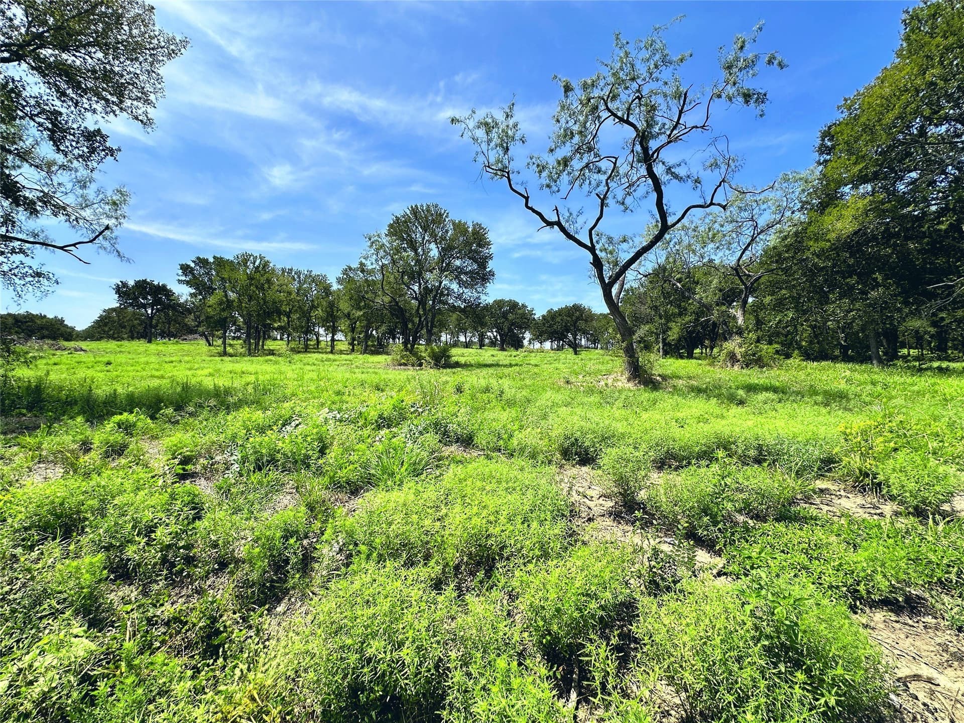 1.13 acres in Navarro County - photo 12