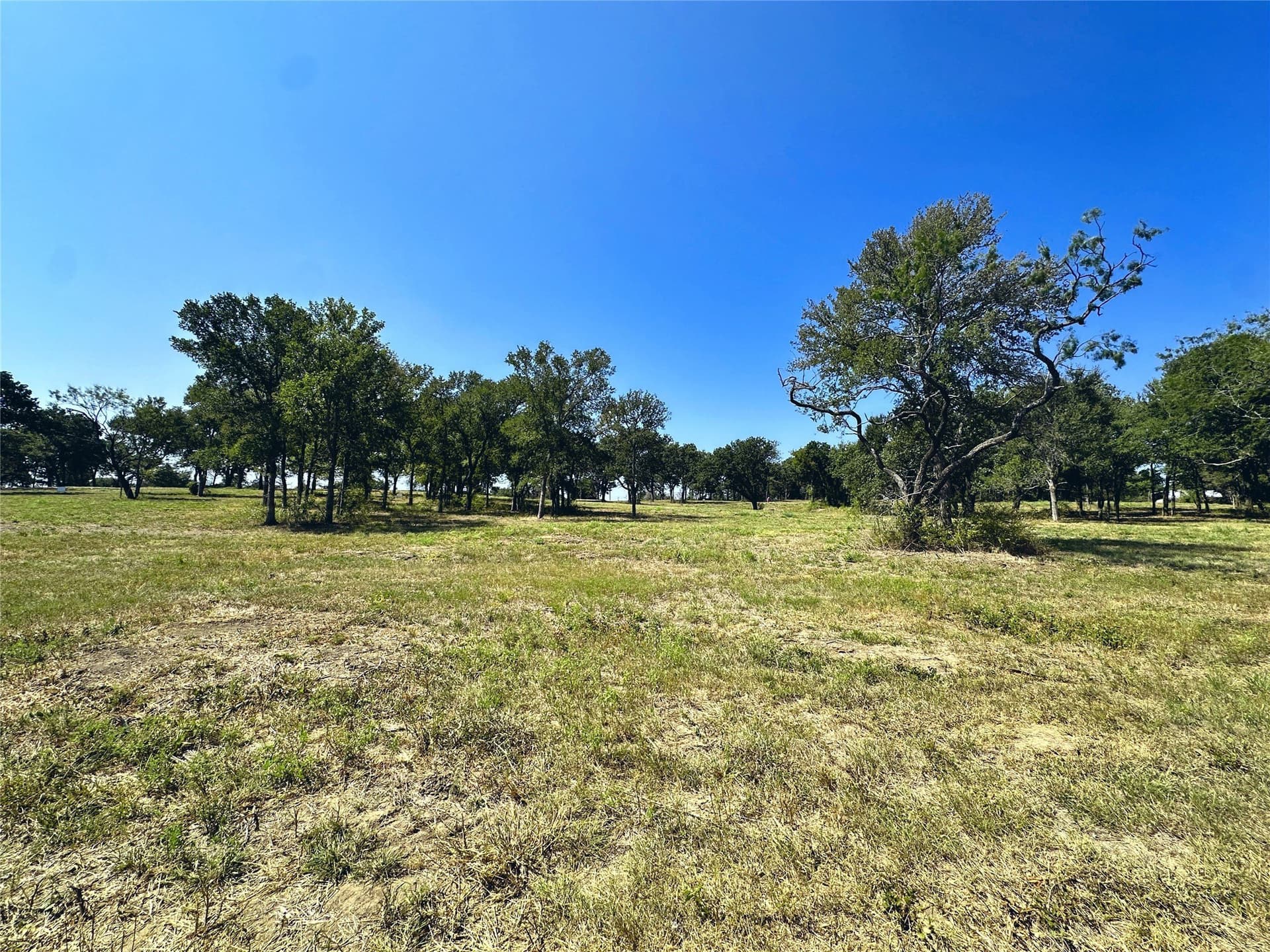 1.13 acres in Navarro County - photo 29