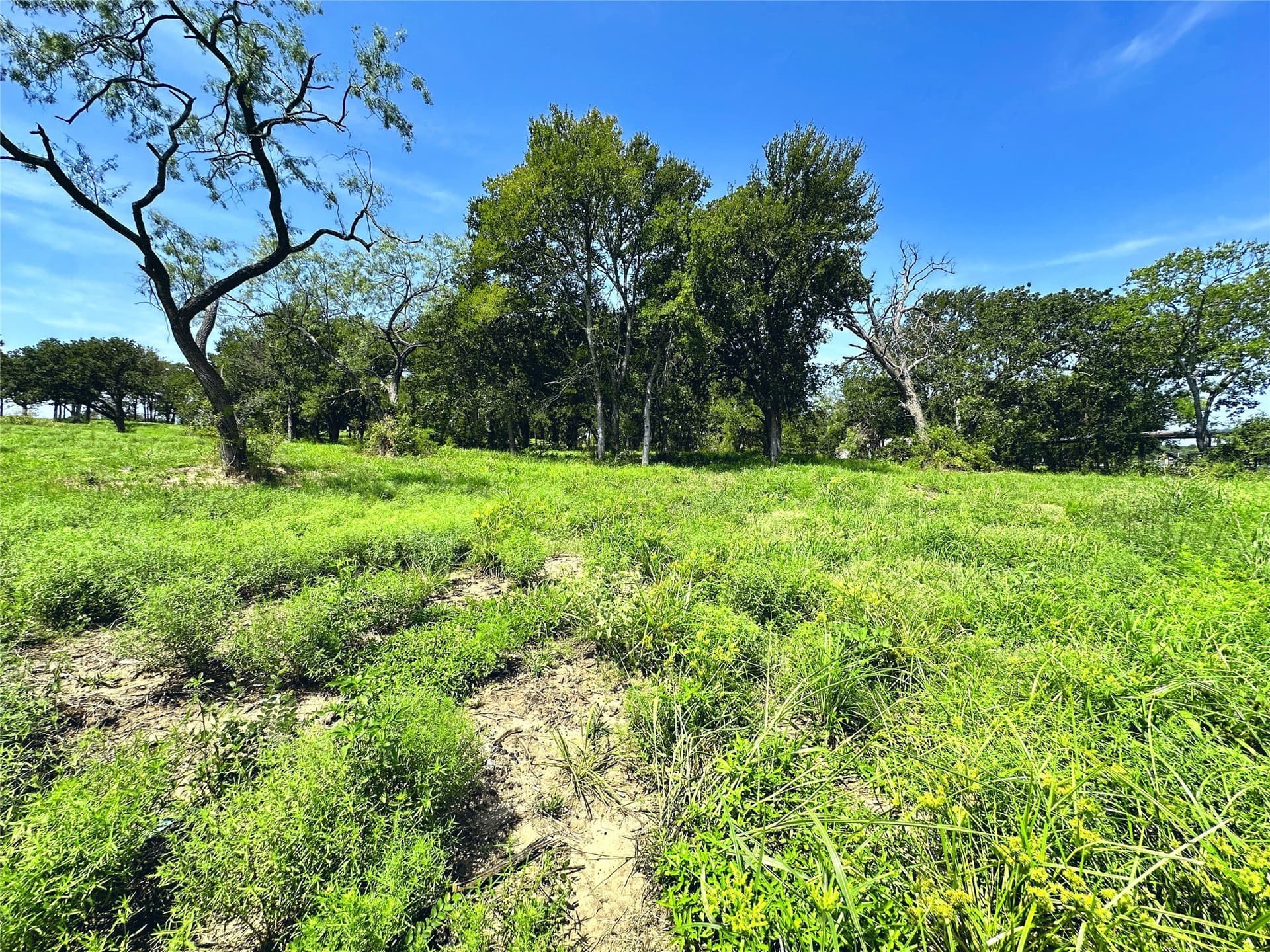 1.13 acres in Navarro County - photo 13