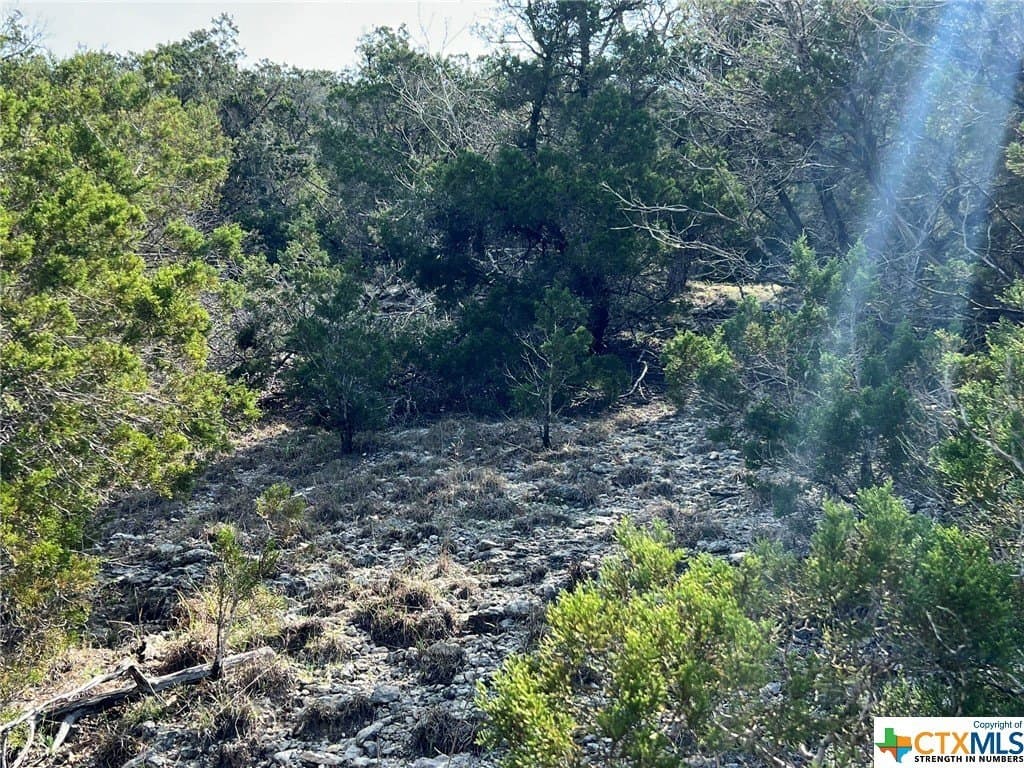 13.71 acres in Comal County - photo 14