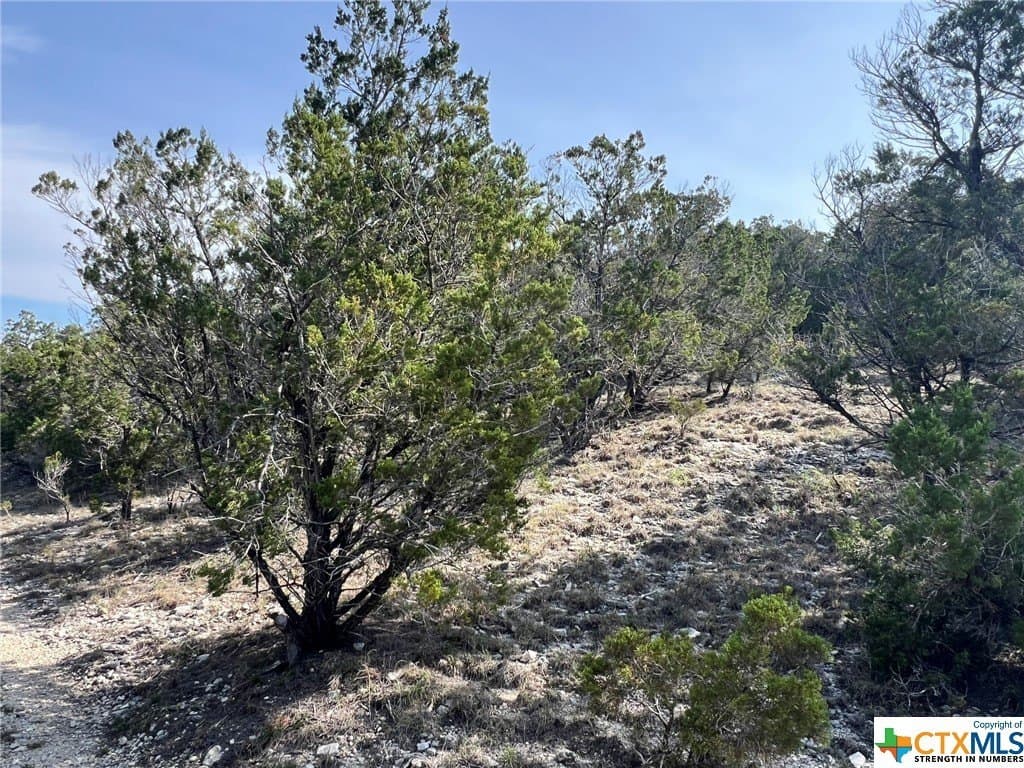 13.71 acres in Comal County - photo 19