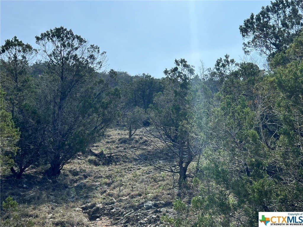 13.71 acres in Comal County - photo 16