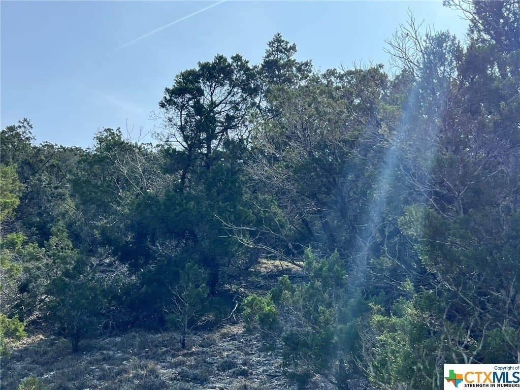 13.71 acres in Comal County - photo 13