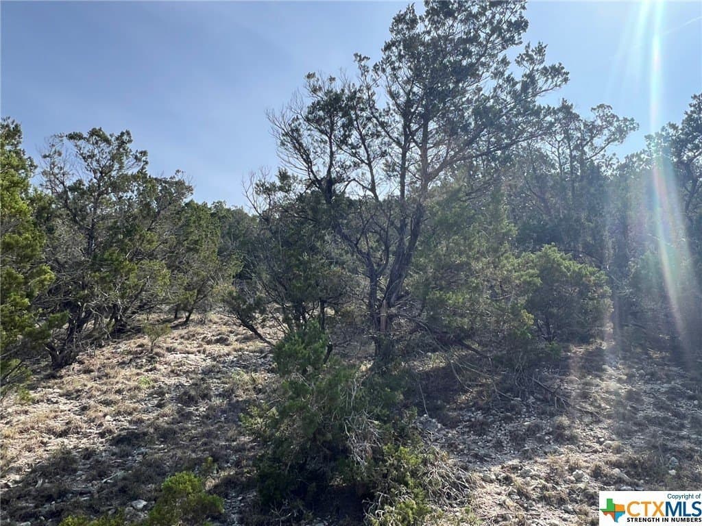 13.71 acres in Comal County - photo 18